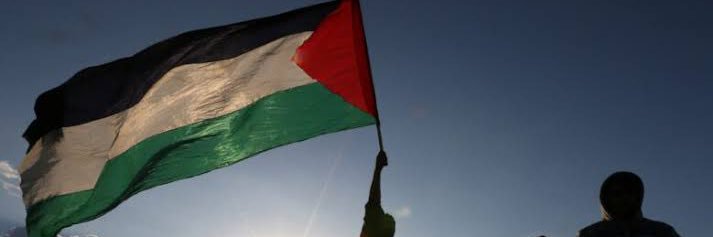 Elisa Molina R banner