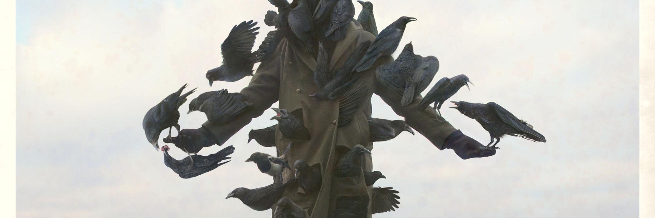 Nikita Bukoros banner