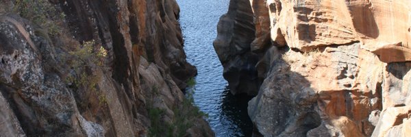 ivdriess Profile Banner