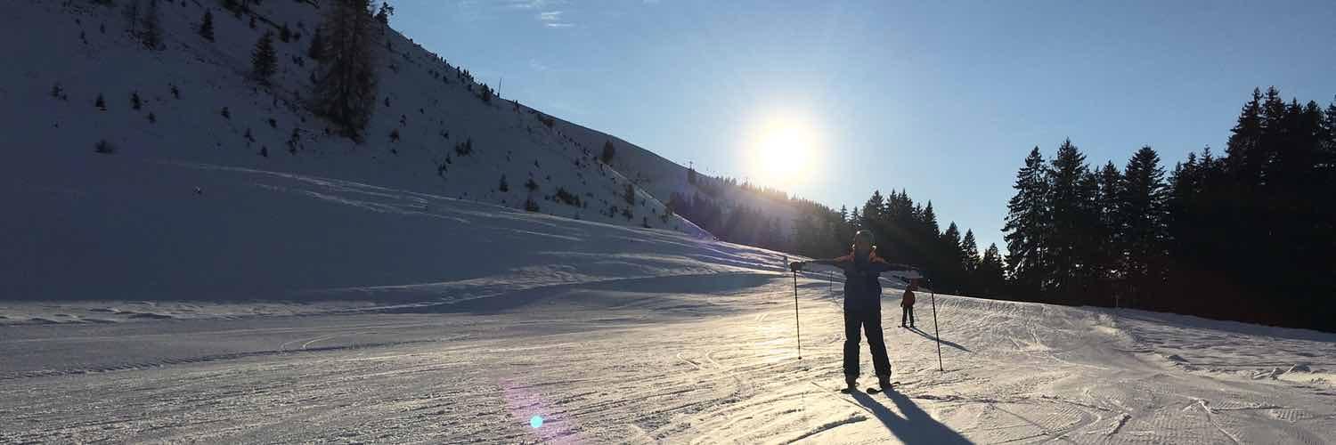 Raimonds Simanovskis banner