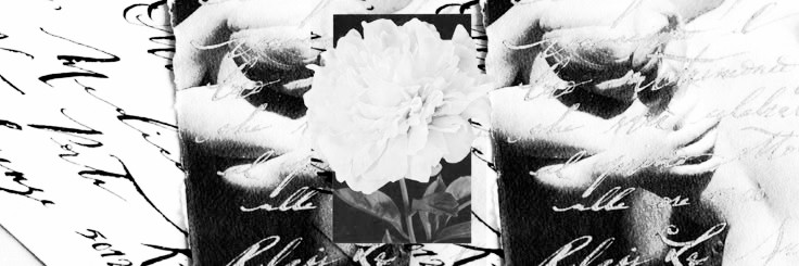 Natasha Roosevelt. banner