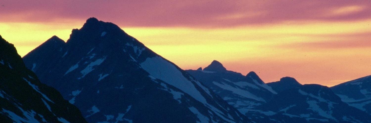 esisa's profile banner image