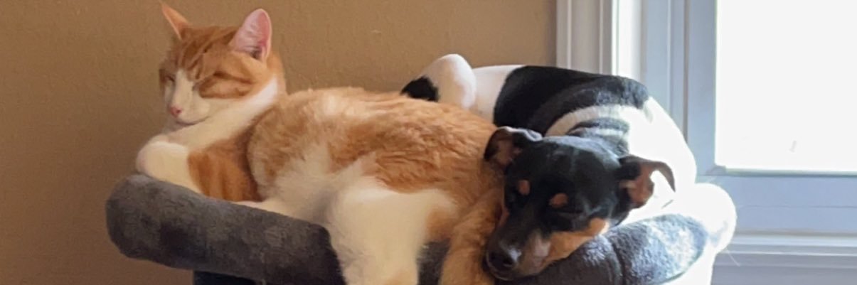 _zoooee_'s profile banner image