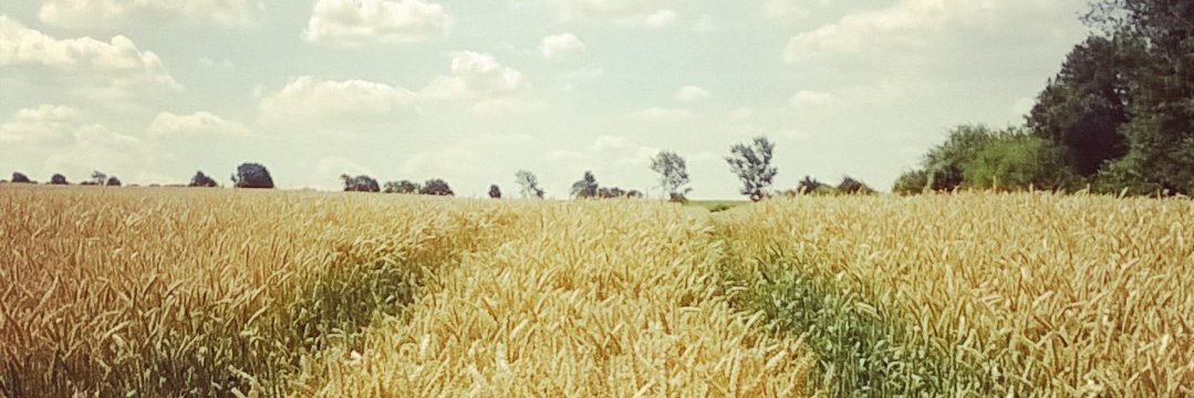 Oliver Rubinstein banner