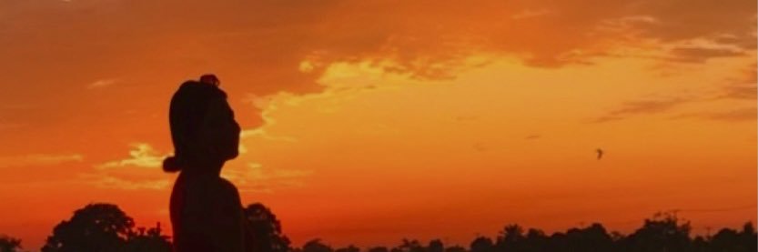 briimerar's profile banner image
