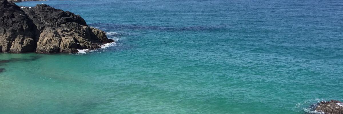 Megan_Samuel_'s profile banner image
