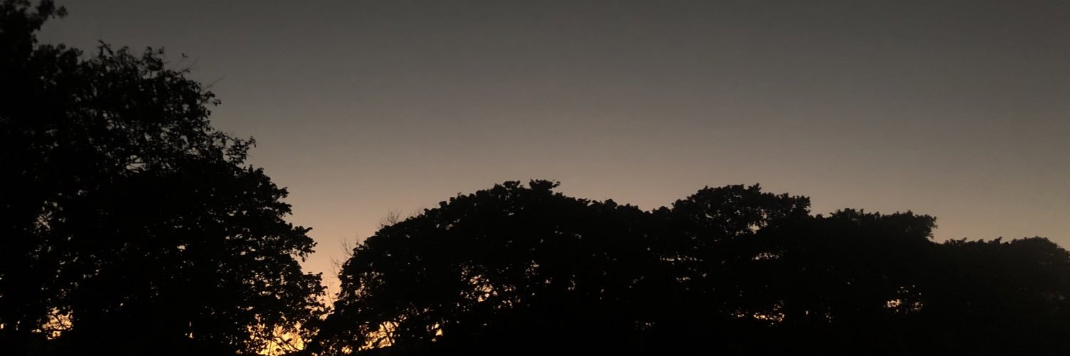 fabiola2146's profile banner image