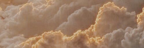osiee banner