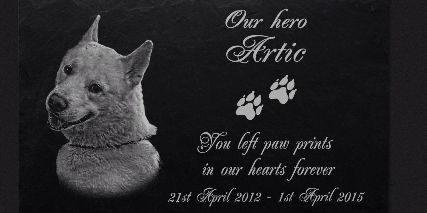 Artic's legacy banner