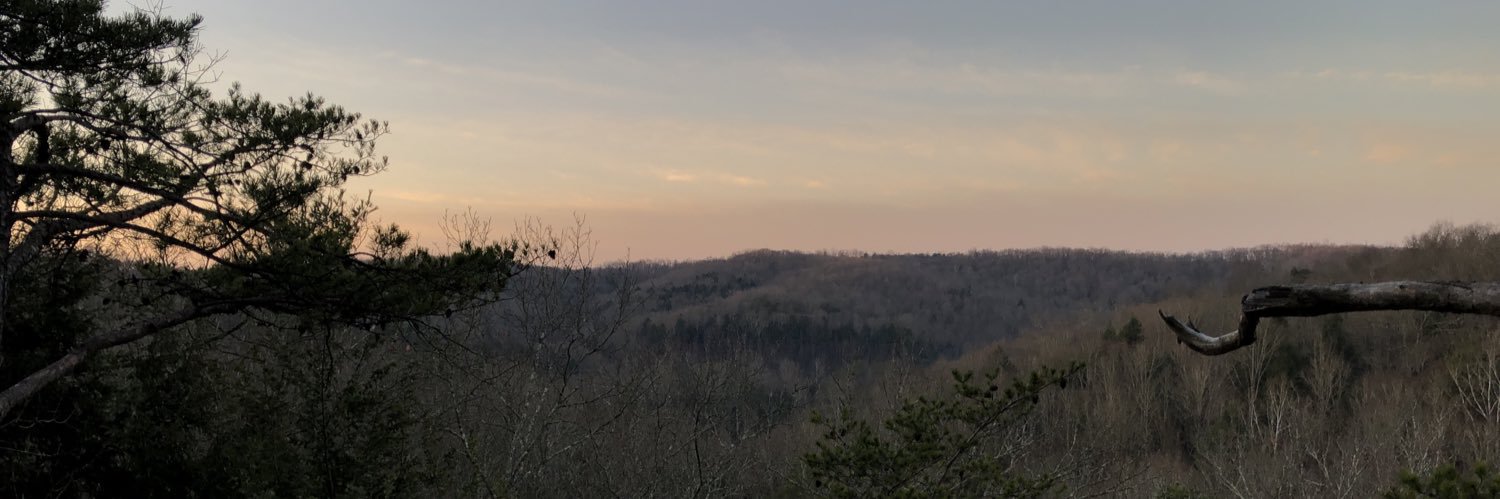 Andy Stiebler banner