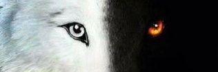 ReputableAlpha's profile banner image