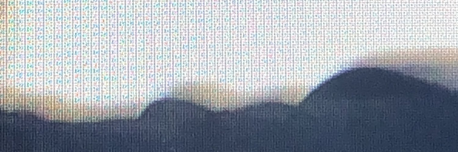 annigrebner's profile banner image