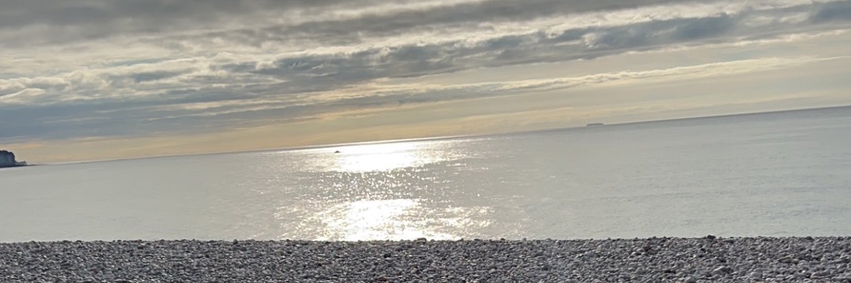 erinedbn's profile banner image