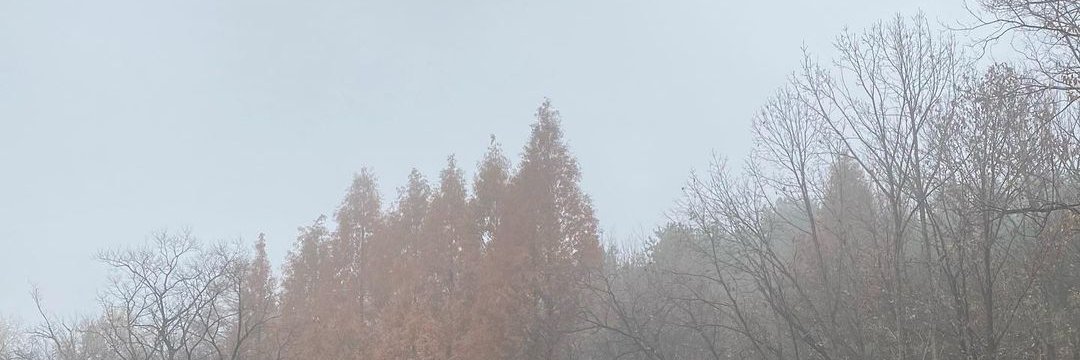 Amyke1992's profile banner image
