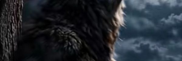 โอ้ต เด็กวัด banner