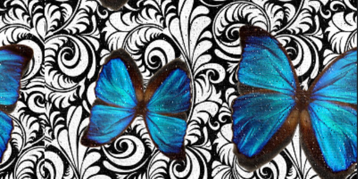 LexyLove_14's profile banner image