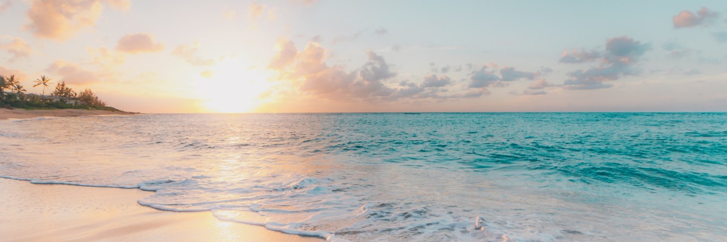 IrynaRoik's profile banner image