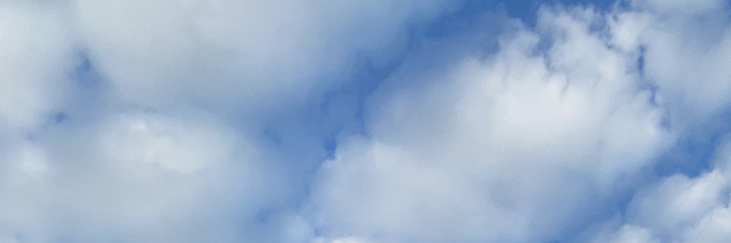magavaiz's profile banner image