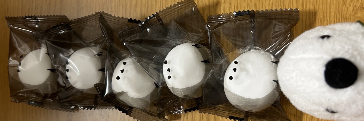 真野めい🪽春コミ 西3 D13a banner