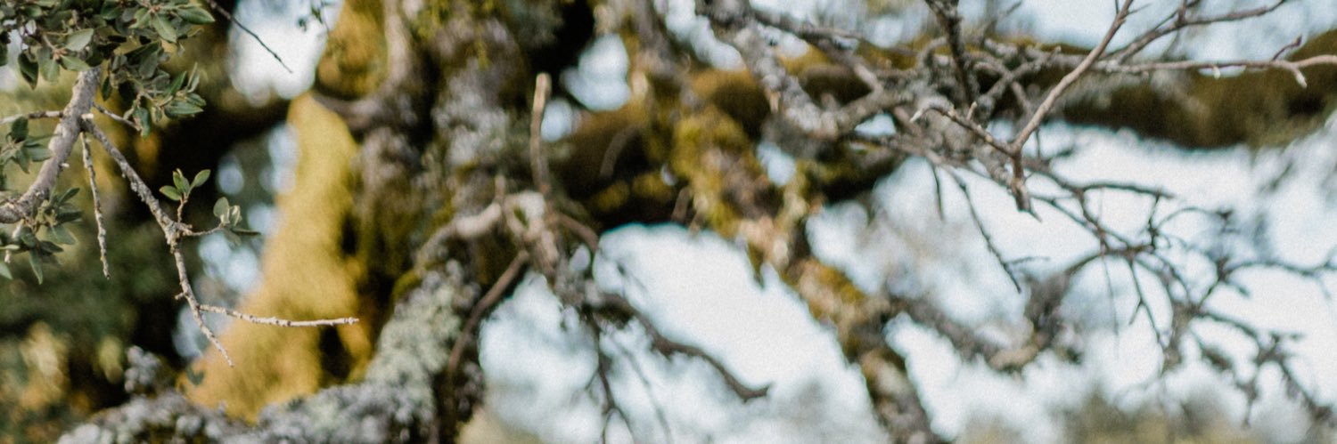 David Rusenko banner