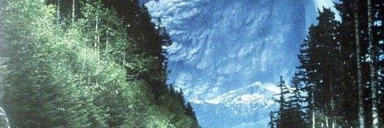 none banner
