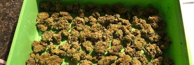 TheBitcoinVandal banner