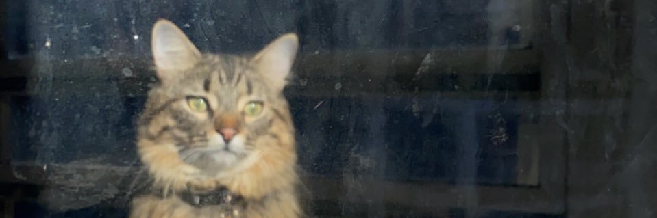 therealDMTV's profile banner image
