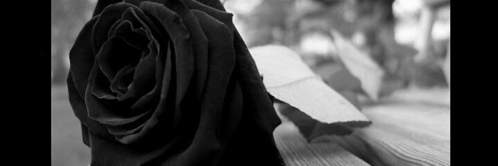 IsdaniaIDMH_'s profile banner image