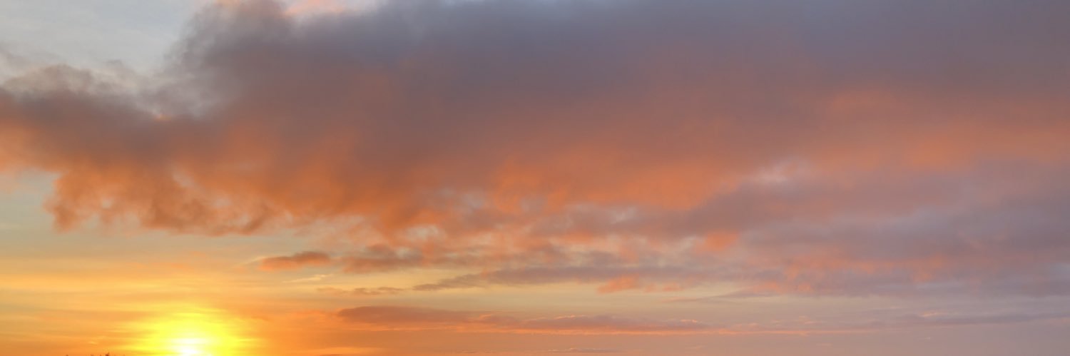 TaraTierney's profile banner image