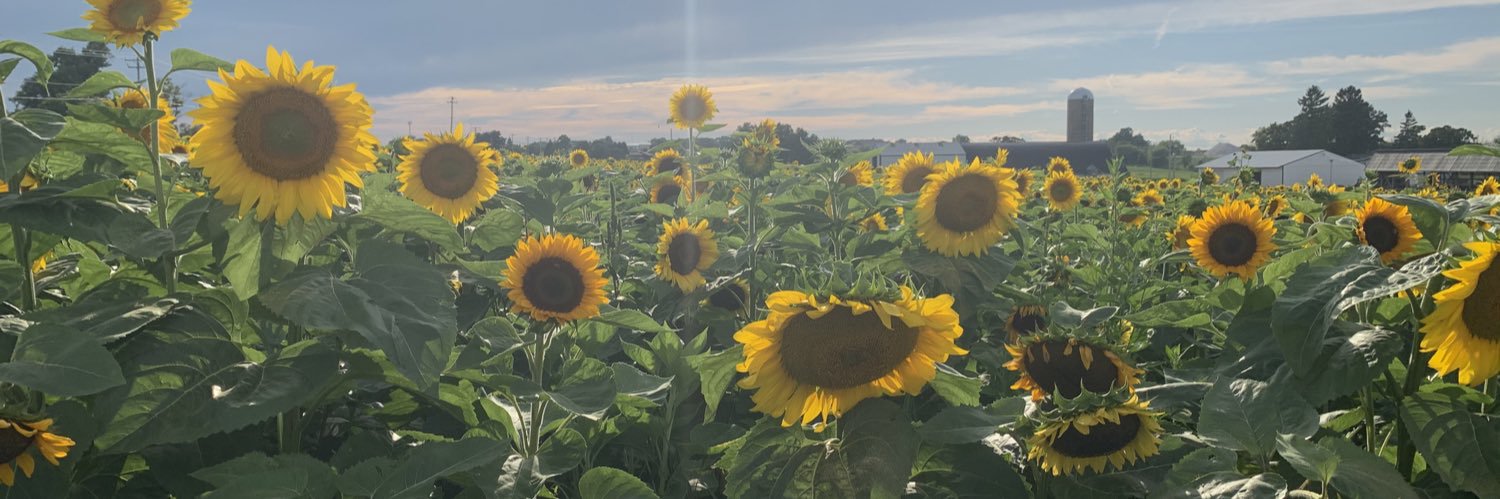 mschmitz19's profile banner image