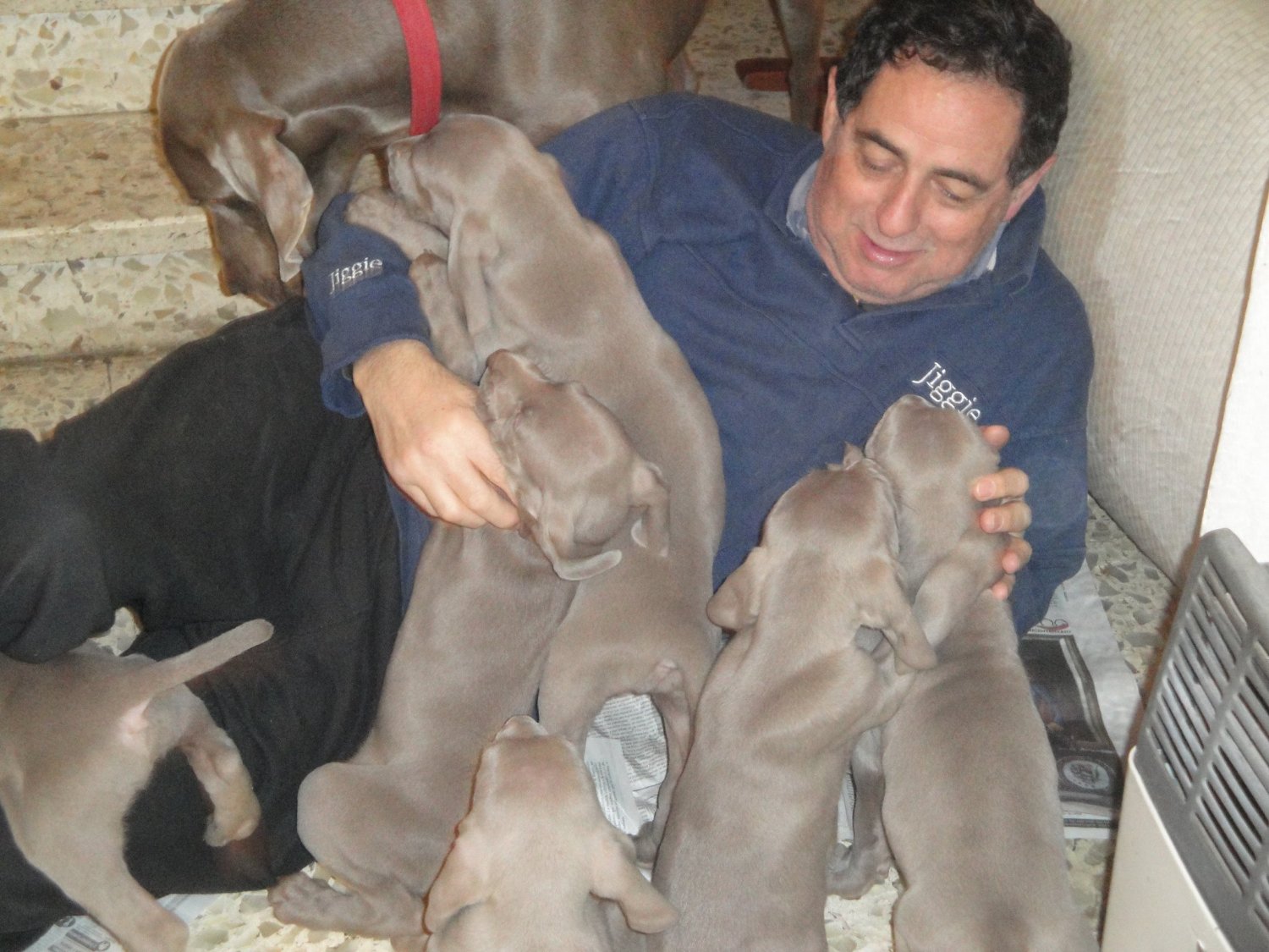 Adalberto53's profile banner image