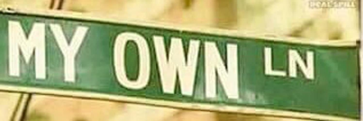 Stimmy Turner 🦍 banner