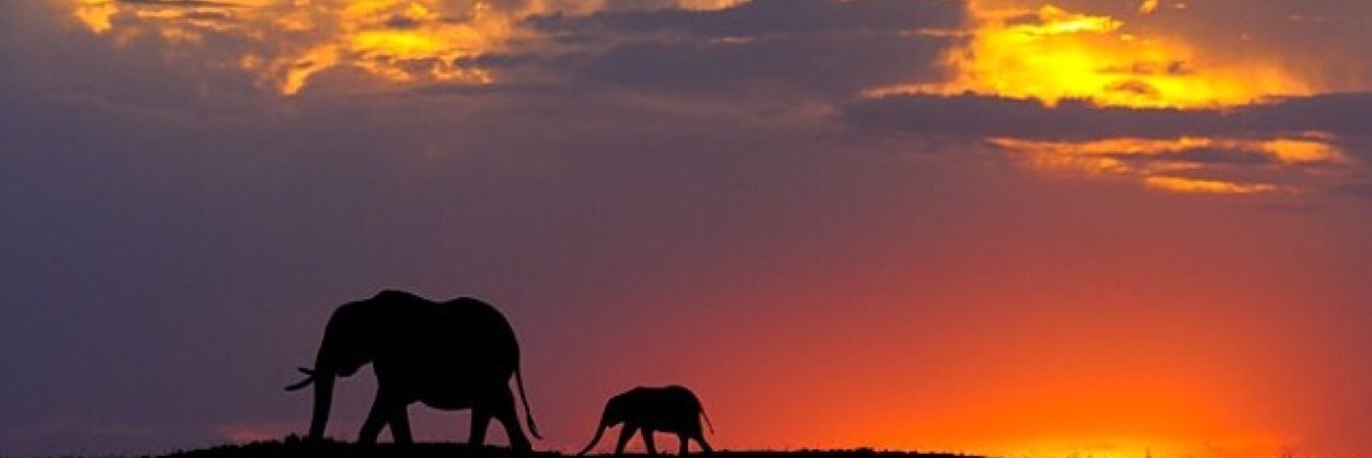 aggrand12's profile banner image