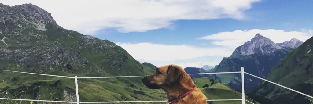 batoouw's profile banner image
