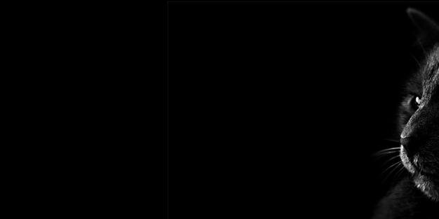 InQall's profile banner image
