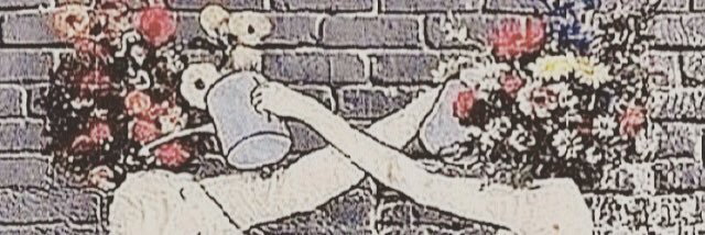 AmberWilson24's profile banner image