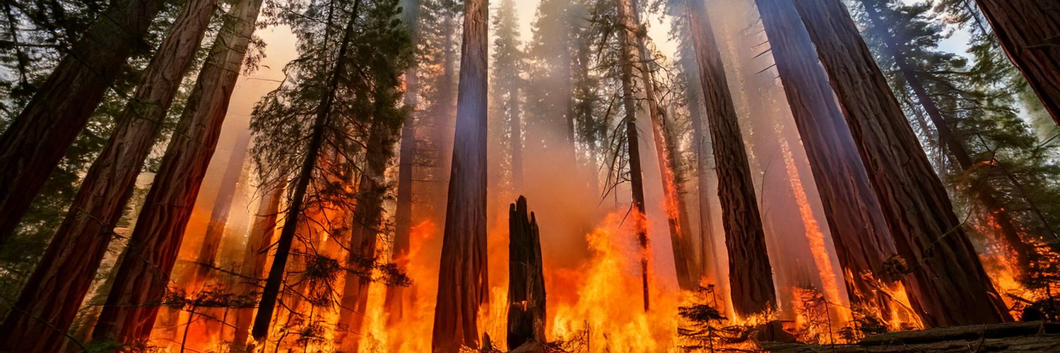 RealJamesHing's profile banner image