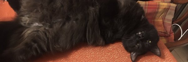 CamaraJoshua Profile Banner