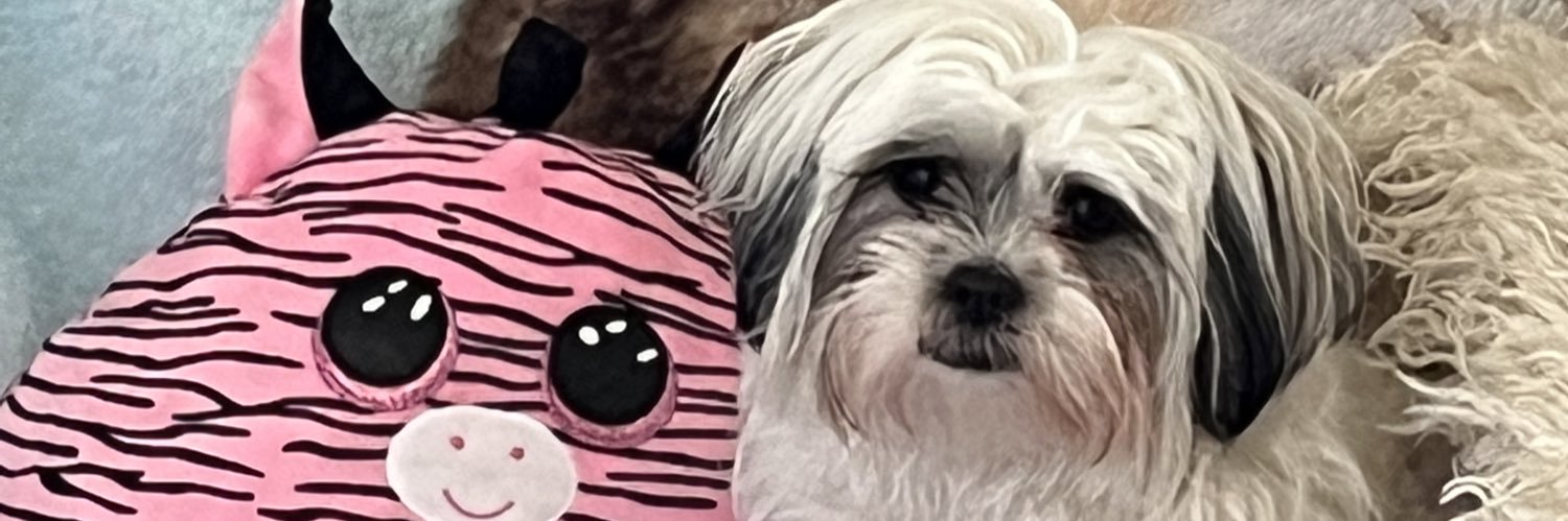 messagejulia's profile banner image