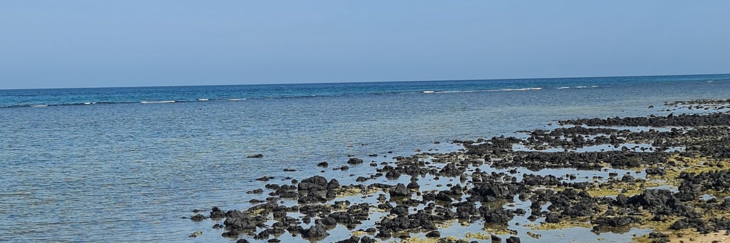 AlSamdani's profile banner image