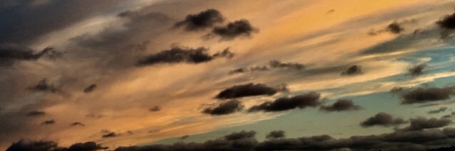 MandieHowells's profile banner image