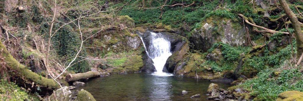 Clare Twelvetrees banner