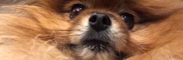 murrell_jordan's profile banner image