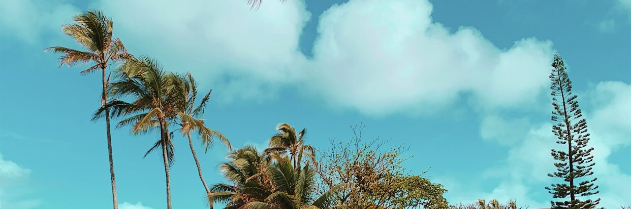 katiemoseng's profile banner image