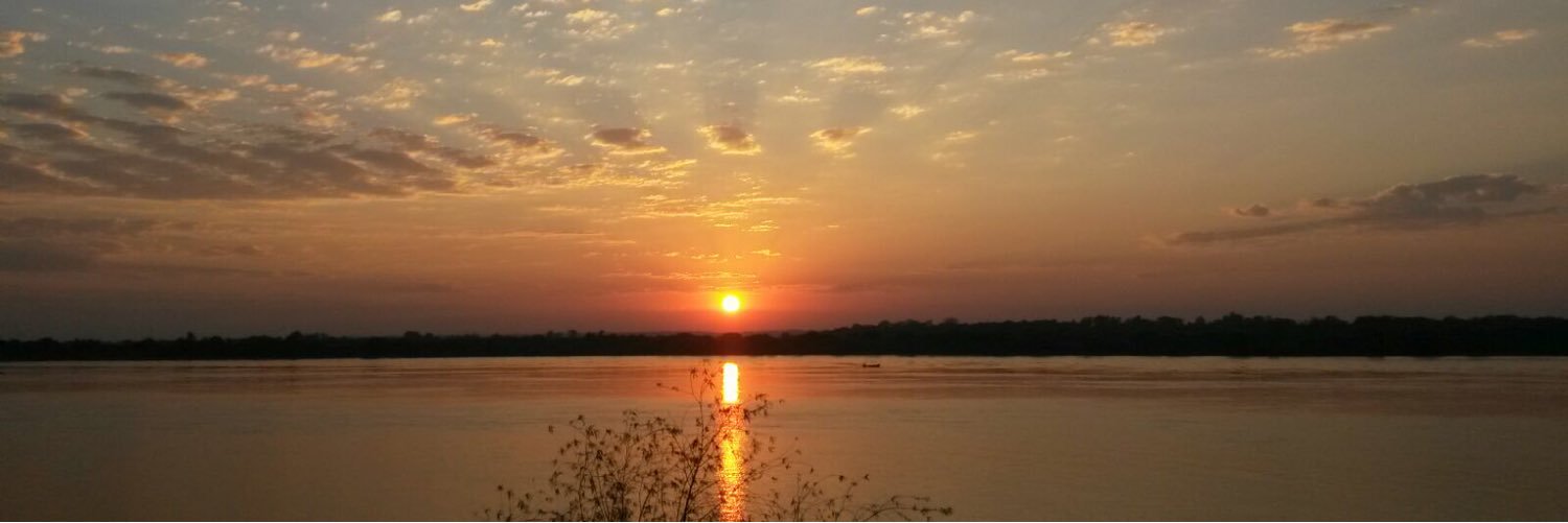 litobarrios's profile banner image