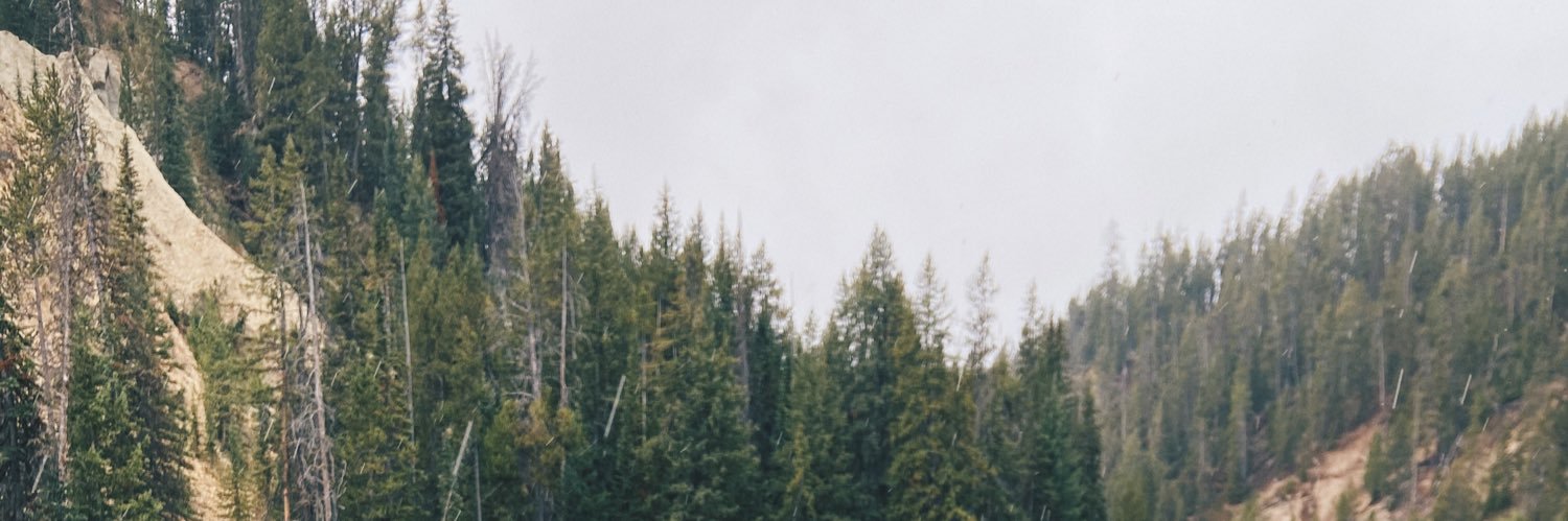haileygallagh3r's profile banner image