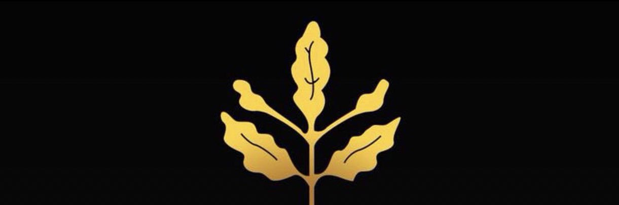 aat_adam's profile banner image