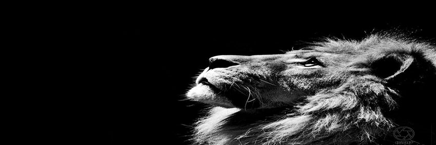 Bob_496's profile banner image