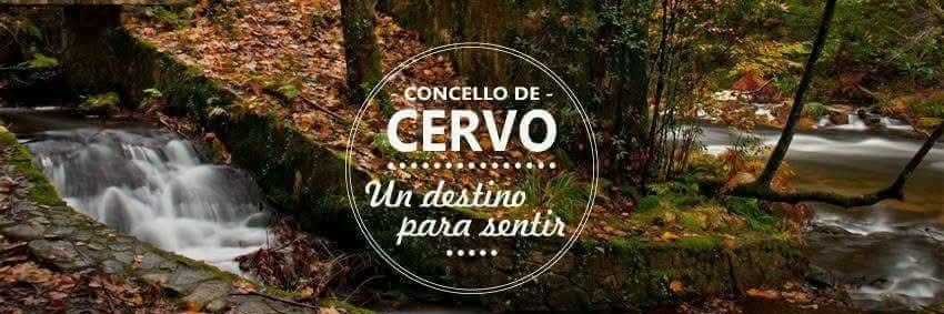 Concello de Cervo banner