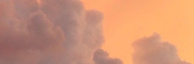 Arceo banner